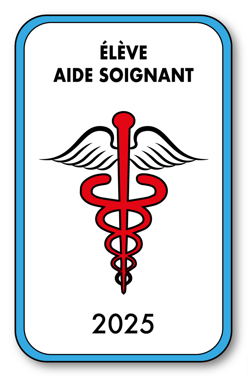 Self-adhesive Sticker - Caduceus 2023 Vignette for Window Windshield - V4 