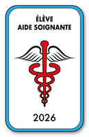 Self-adhesive Sticker - Caduceus 2023 Vignette for Window Windshield - V4 