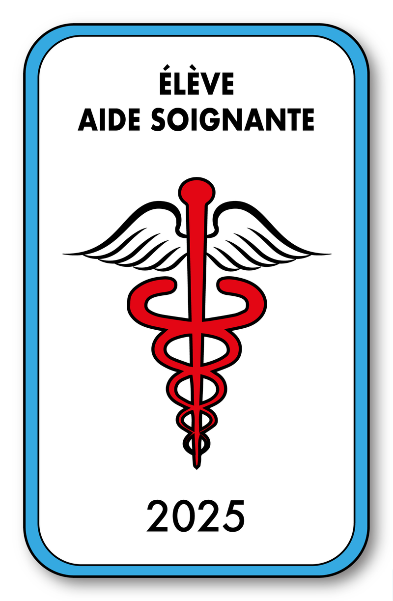 Self-adhesive Sticker - Caduceus 2023 Vignette for Window Windshield - V4 