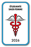 Self-adhesive Sticker - Caduceus 2023 Vignette for Window Windshield - V4 