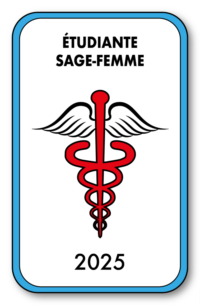 Self-adhesive Sticker - Caduceus 2023 Vignette for Window Windshield - V4 