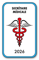 Self-adhesive Sticker - Caduceus 2023 Vignette for Window Windshield - V4 