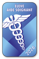 Selbstklebender Aufkleber – Caduceus 2023 Vignette für Windschutzscheiben-Fensteraufkleber – V5 