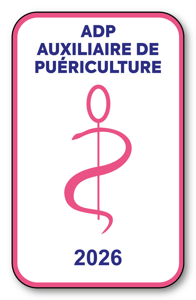 Self-adhesive Sticker - Caduceus 2023 Vignette for Window Windscreen - V6 