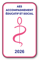 Self-adhesive Sticker - Caduceus 2023 Vignette for Window Windscreen - V6 