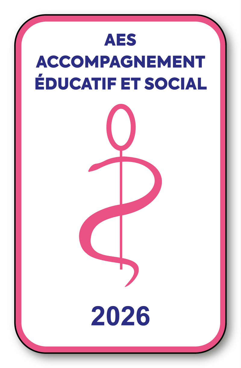 Self-adhesive Sticker - Caduceus 2023 Vignette for Window Windscreen - V6 