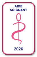 Self-adhesive Sticker - Caduceus 2023 Vignette for Window Windscreen - V6 