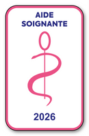 Self-adhesive Sticker - Caduceus 2023 Vignette for Window Windscreen - V6 