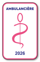 Self-adhesive Sticker - Caduceus 2023 Vignette for Window Windscreen - V6 