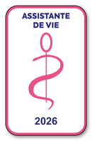 Self-adhesive Sticker - Caduceus 2023 Vignette for Window Windscreen - V6 