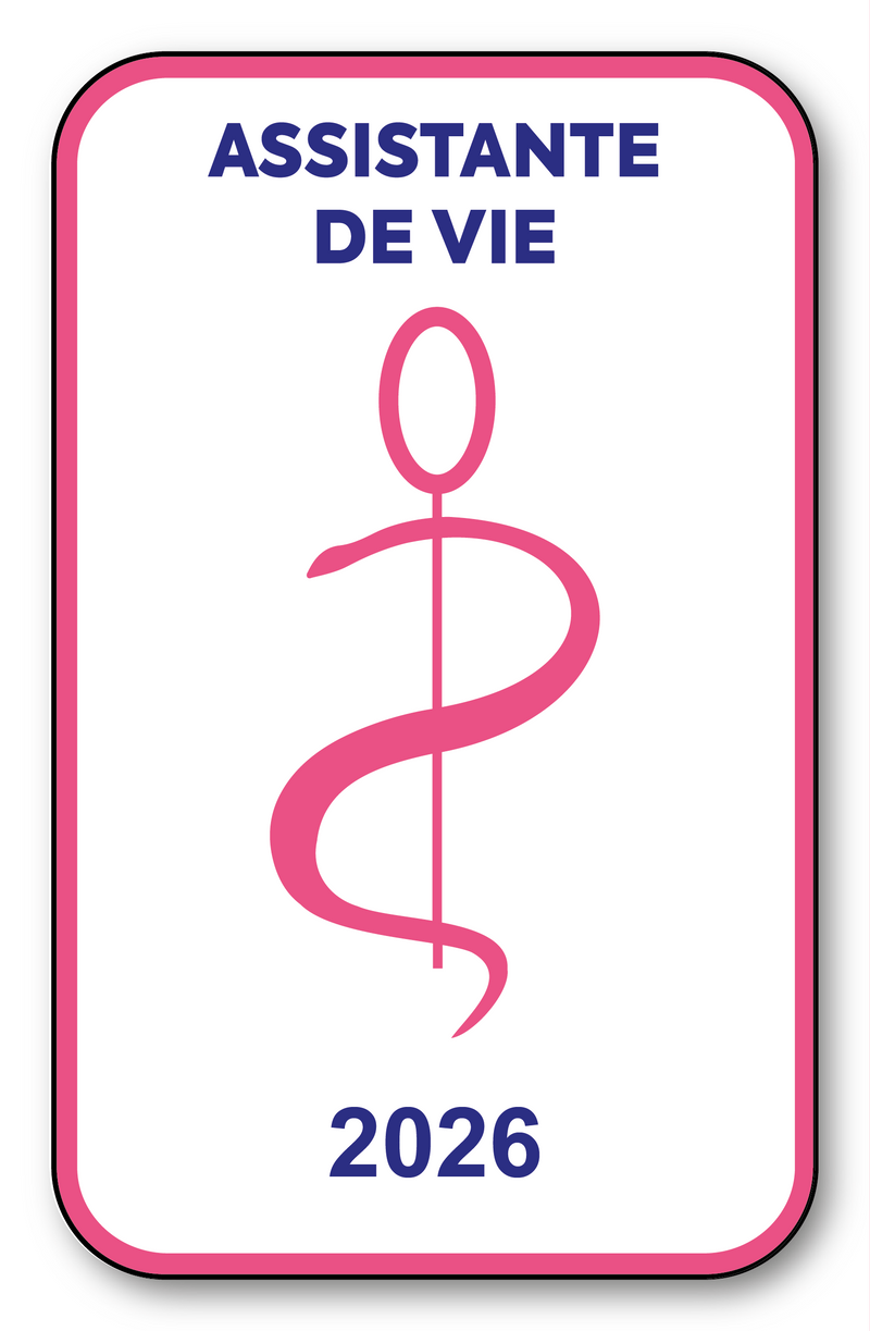 Self-adhesive Sticker - Caduceus 2023 Vignette for Window Windscreen - V6 