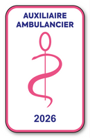 Self-adhesive Sticker - Caduceus 2023 Vignette for Window Windscreen - V6 