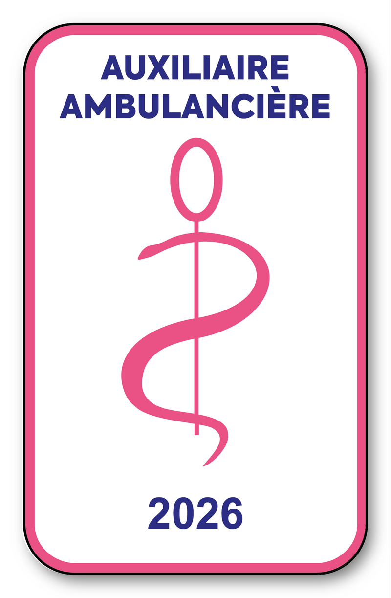 Self-adhesive Sticker - Caduceus 2023 Vignette for Window Windscreen - V6 