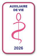 Self-adhesive Sticker - Caduceus 2023 Vignette for Window Windscreen - V6 