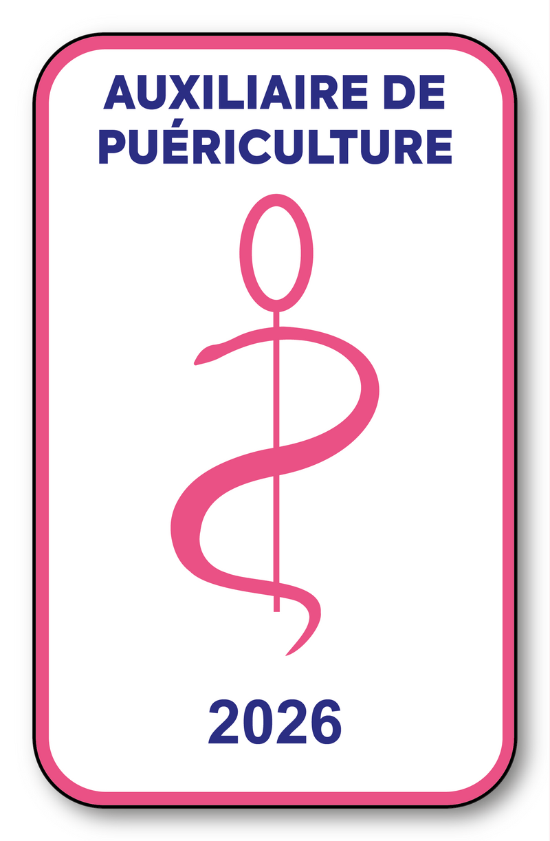 Self-adhesive Sticker - Caduceus 2023 Vignette for Window Windscreen - V6 