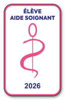 Self-adhesive Sticker - Caduceus 2023 Vignette for Window Windscreen - V6 