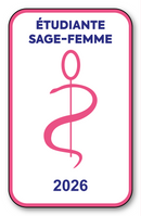 Self-adhesive Sticker - Caduceus 2023 Vignette for Window Windscreen - V6 