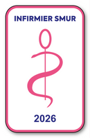 Self-adhesive Sticker - Caduceus 2023 Vignette for Window Windscreen - V6 