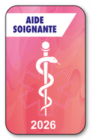 Self-adhesive Sticker - Caduceus 2023 Vignette for Window Windshield - V7 