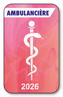 Self-adhesive Sticker - Caduceus 2023 Vignette for Window Windshield - V7 