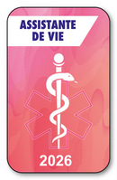Self-adhesive Sticker - Caduceus 2023 Vignette for Window Windshield - V7 