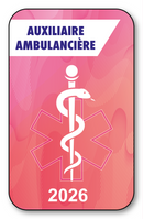 Self-adhesive Sticker - Caduceus 2023 Vignette for Window Windshield - V7 