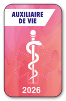 Self-adhesive Sticker - Caduceus 2023 Vignette for Window Windshield - V7 