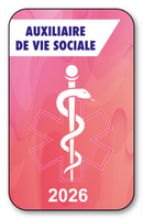 Self-adhesive Sticker - Caduceus 2023 Vignette for Window Windshield - V7 