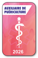 Self-adhesive Sticker - Caduceus 2023 Vignette for Window Windshield - V7 