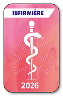 Self-adhesive Sticker - Caduceus 2023 Vignette for Window Windshield - V7 