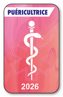 Self-adhesive Sticker - Caduceus 2023 Vignette for Window Windshield - V7 