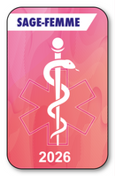 Self-adhesive Sticker - Caduceus 2023 Vignette for Window Windshield - V7 