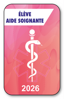 Self-adhesive Sticker - Caduceus 2023 Vignette for Window Windshield - V7 