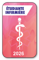 Self-adhesive Sticker - Caduceus 2023 Vignette for Window Windshield - V7 