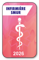 Self-adhesive Sticker - Caduceus 2023 Vignette for Window Windshield - V7 