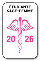 Selbstklebender Aufkleber – Caduceus 2023 Vignette für Windschutzscheiben-Fensteraufkleber – V8 