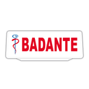 Clip Pannello in plastica per Visiera parasole Auto Badante Riflettente Bianco